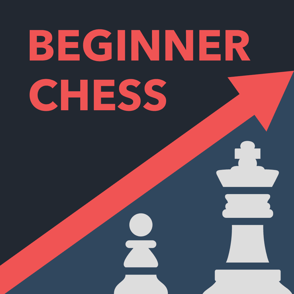 Beginner Chess